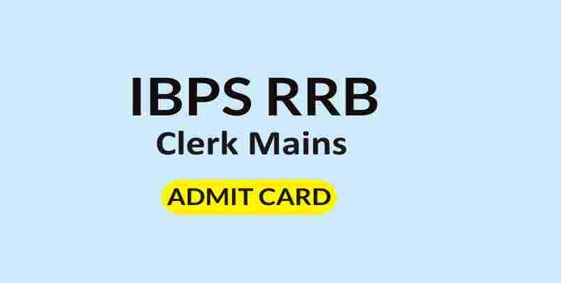 IBPS RRB Clerk Mains Admit Card