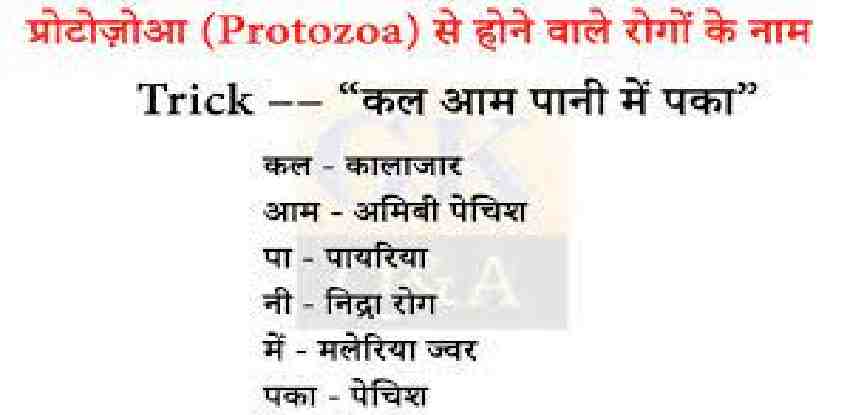 GK Trick in Hindi सामान्य ज्ञान जीके ट्रिक 1000 GK Trick PDF Download