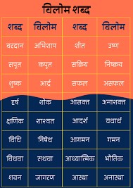 Vilom shabd in hindi